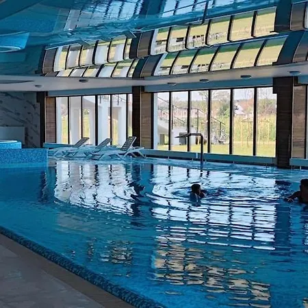 Апартаменты Comfortable Apartment, Sauna And Indoor Pool Дзивнув